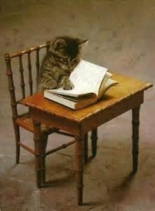 book kitty